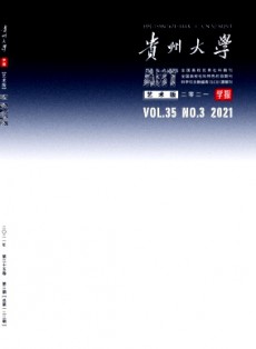 貴州大學(xué)學(xué)報·藝術(shù)版