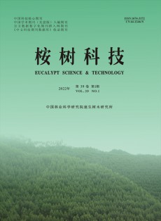 桉樹科技