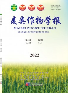 麥類作物學(xué)報
