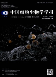 細胞生物學