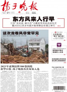 揚子晚報