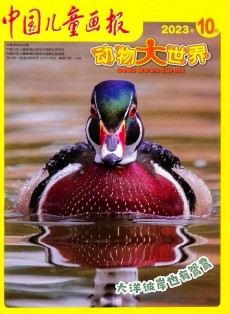 中國兒童畫報