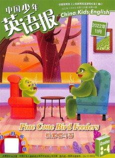 中國少年英語報雜志