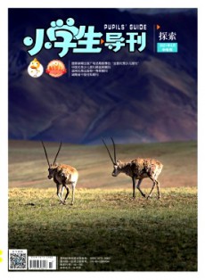 小學(xué)生導(dǎo)刊·中年級