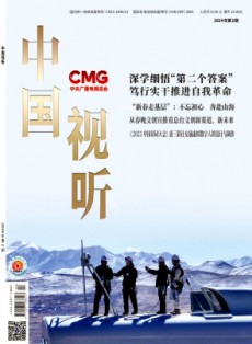 中國視聽