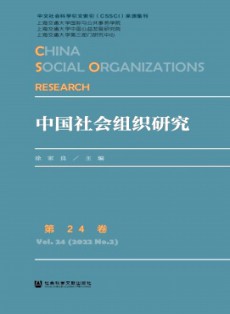 中國社會組織研究